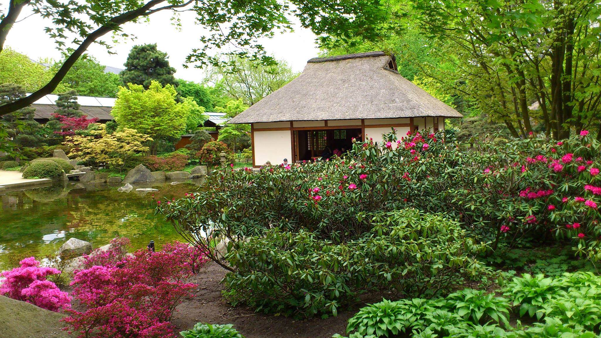 Teeliebhaber hergehört! Im Japanischen Garten kannst du bei einer Teezeremonie dabei sein!