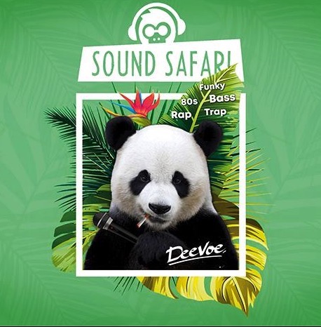Tanze zu den heißesten Beats bei der Sound Safari! 🌴