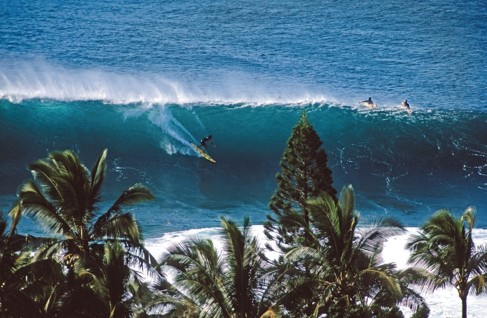 Bei der Surf Film Nacht werden wilde Wellen geritten.