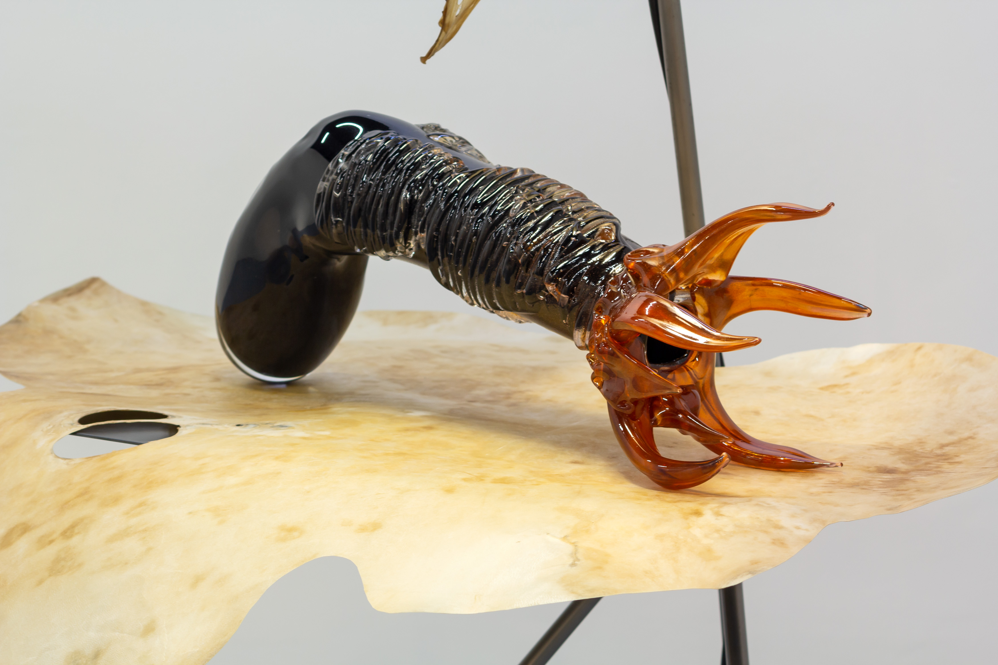 „from creatures to creators“ ist die aktuelle Ausstellung im Kunsthaus.