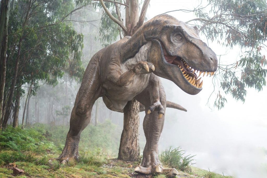 Tauche ein in die Dino-Welt bei der lebensechten Hightech-Dinosaurier Ausstellung.